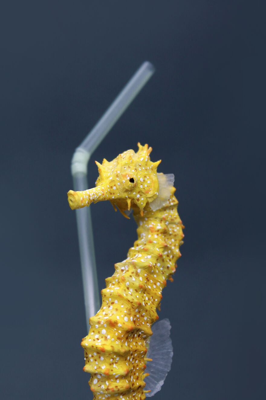 I’ve Created These Animal Sculptures To Show The Consequences Of Ocean Pollution I’ve Created These Animal Sculptures To Show The Consequences Of Ocean Pollution