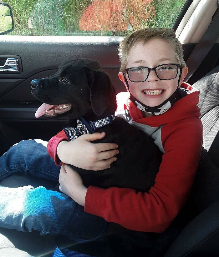 Selfless Boy Sells His Pokemon Cards Just To Save His Beloved Puppy Friend Selfless Boy Sells His Pokemon Cards Just To Save His Beloved Puppy Friend