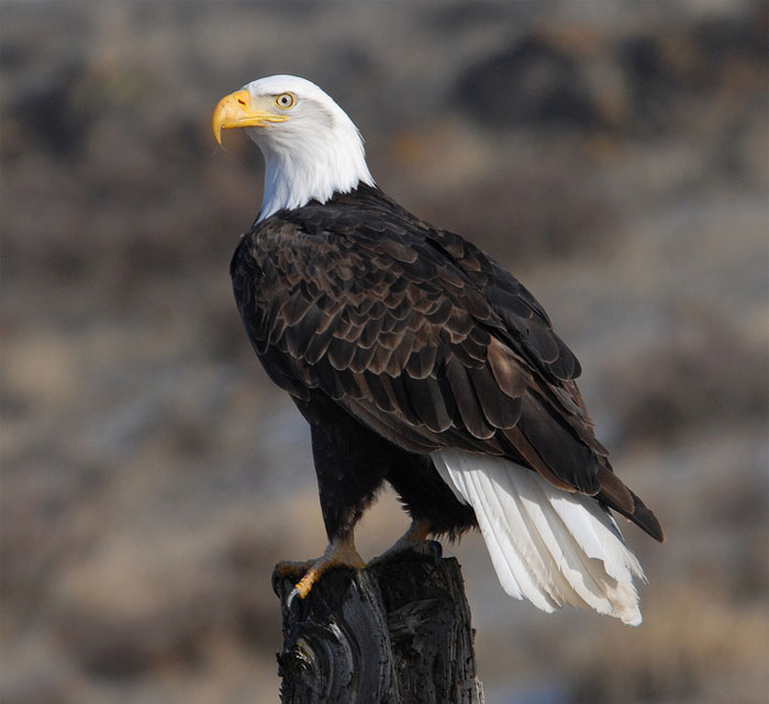 People In This Online Group Shared 40 Things That Are Illegal But Most People Don’t Even Know It People In This Online Group Shared 40 Things That Are Illegal But Most People Don’t Even Know It