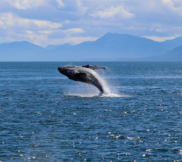 People In This Online Group Shared 40 Things That Are Illegal But Most People Don’t Even Know It People In This Online Group Shared 40 Things That Are Illegal But Most People Don’t Even Know It