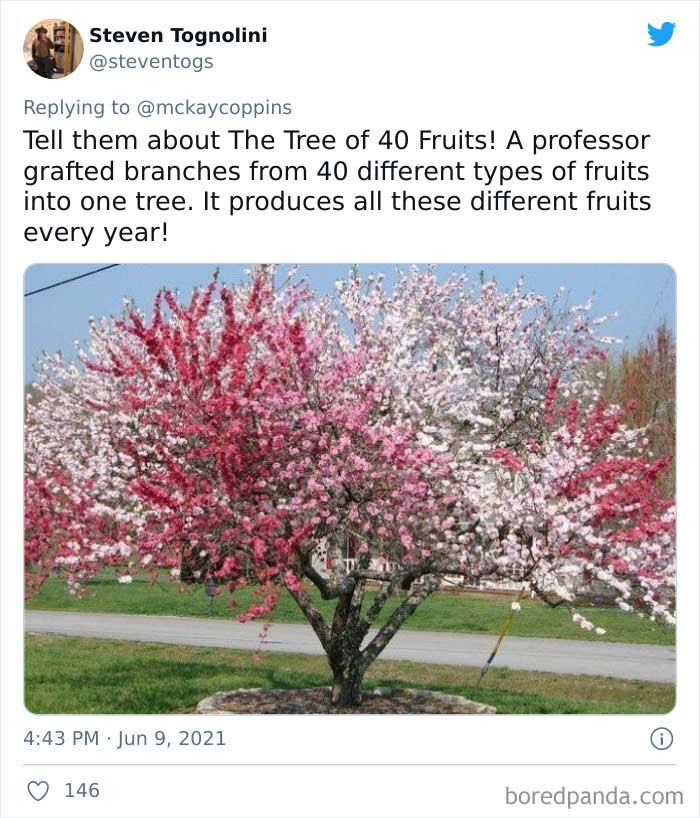 Dad Asks The Internet What Interesting Facts They Know So He Could Tell Them To His 2 Kids, Receives 40 Answers