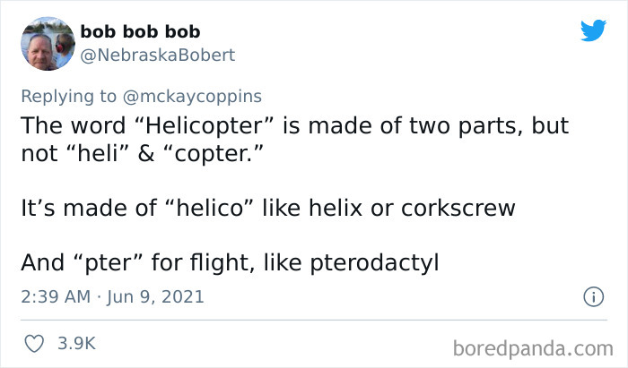 Dad Asks The Internet What Interesting Facts They Know So He Could Tell Them To His 2 Kids, Receives 40 Answers