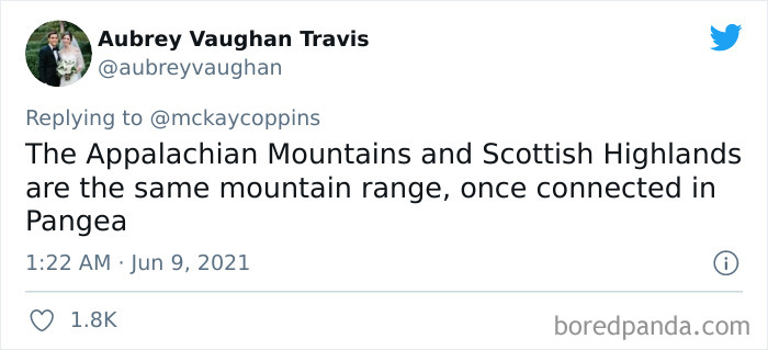 Dad Asks The Internet What Interesting Facts They Know So He Could Tell Them To His 2 Kids, Receives 40 Answers