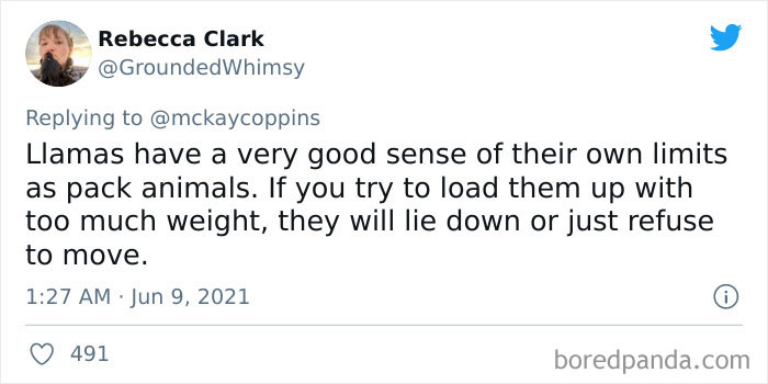 Dad Asks The Internet What Interesting Facts They Know So He Could Tell Them To His 2 Kids, Receives 40 Answers