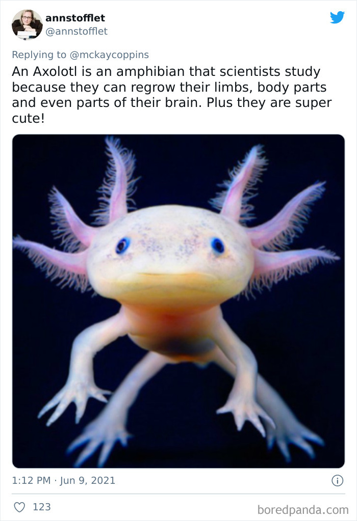 Dad Asks The Internet What Interesting Facts They Know So He Could Tell Them To His 2 Kids, Receives 40 Answers