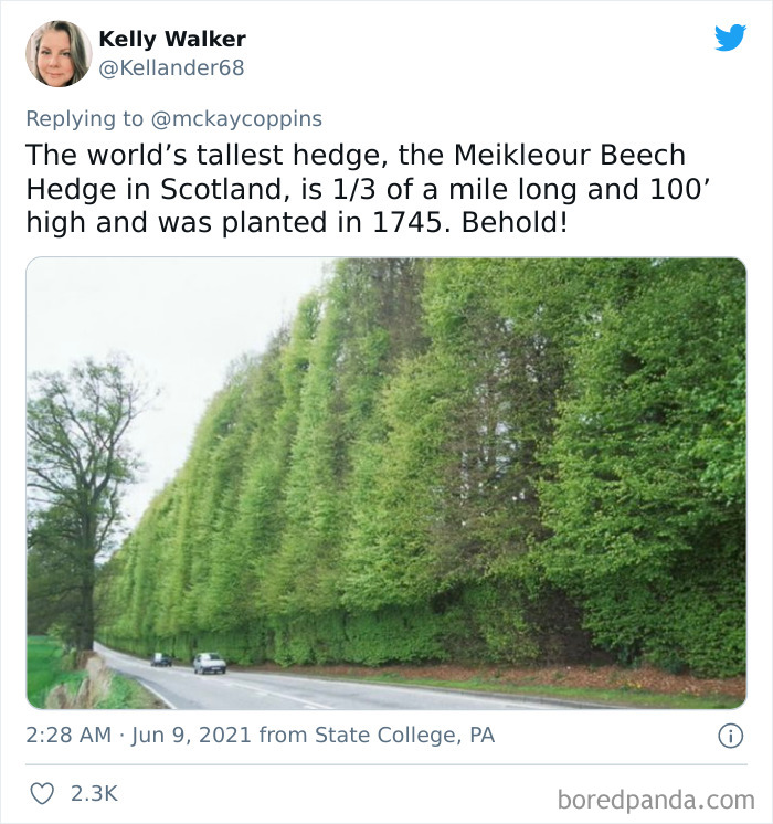 Dad Asks The Internet What Interesting Facts They Know So He Could Tell Them To His 2 Kids, Receives 40 Answers