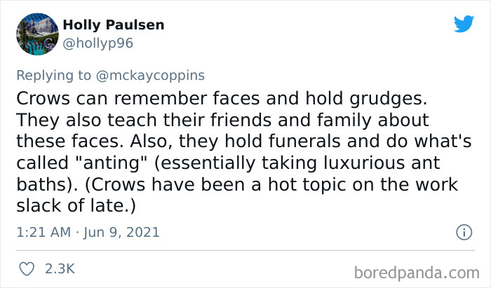 Dad Asks The Internet What Interesting Facts They Know So He Could Tell Them To His 2 Kids, Receives 40 Answers