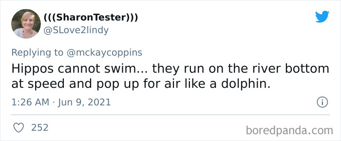 Dad Asks The Internet What Interesting Facts They Know So He Could Tell Them To His 2 Kids, Receives 40 Answers