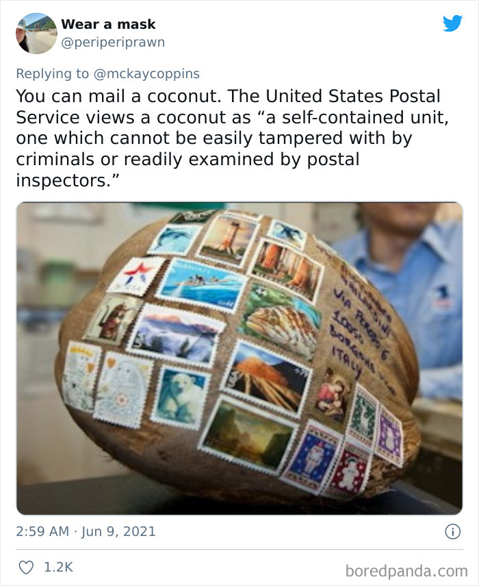 Dad Asks The Internet What Interesting Facts They Know So He Could Tell Them To His 2 Kids, Receives 40 Answers