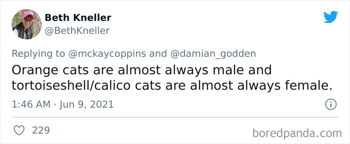 Dad Asks The Internet What Interesting Facts They Know So He Could Tell Them To His 2 Kids, Receives 40 Answers