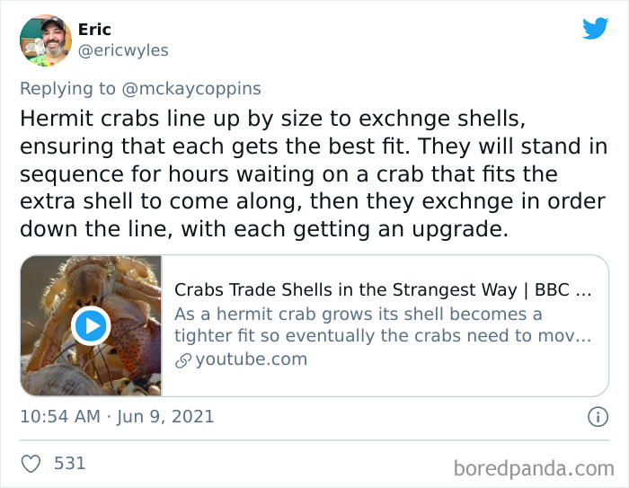 Dad Asks The Internet What Interesting Facts They Know So He Could Tell Them To His 2 Kids, Receives 40 Answers