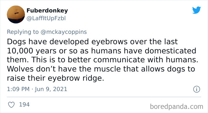 Dad Asks The Internet What Interesting Facts They Know So He Could Tell Them To His 2 Kids, Receives 40 Answers