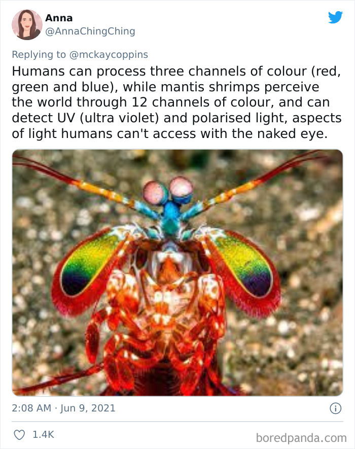 Dad Asks The Internet What Interesting Facts They Know So He Could Tell Them To His 2 Kids, Receives 40 Answers