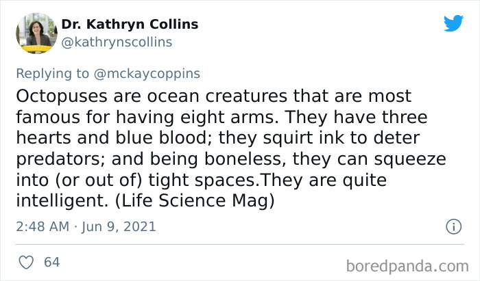 Dad Asks The Internet What Interesting Facts They Know So He Could Tell Them To His 2 Kids, Receives 40 Answers