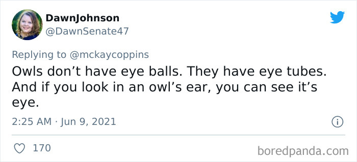 Dad Asks The Internet What Interesting Facts They Know So He Could Tell Them To His 2 Kids, Receives 40 Answers