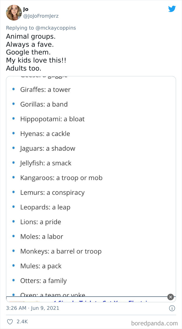 Dad Asks The Internet What Interesting Facts They Know So He Could Tell Them To His 2 Kids, Receives 40 Answers