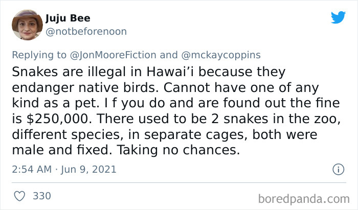 Dad Asks The Internet What Interesting Facts They Know So He Could Tell Them To His 2 Kids, Receives 40 Answers