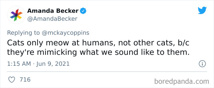 Dad Asks The Internet What Interesting Facts They Know So He Could Tell Them To His 2 Kids, Receives 40 Answers