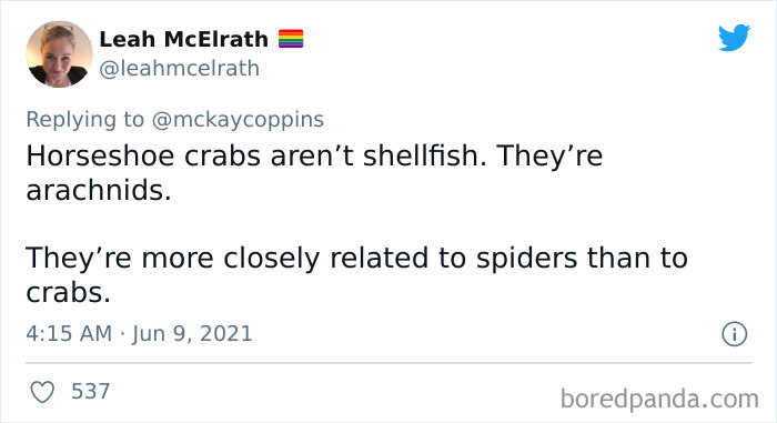 Dad Asks The Internet What Interesting Facts They Know So He Could Tell Them To His 2 Kids, Receives 40 Answers