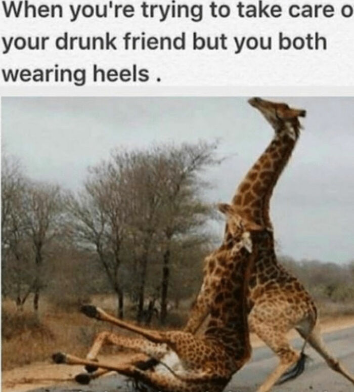 Hey Pandas, Which Meme Are You Today? (Closed) Hey Pandas, Which Meme Are You Today? (Closed)