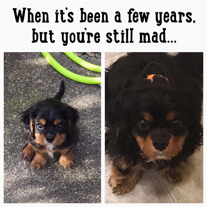 Hey Pandas, Which Meme Are You Today? (Closed) Hey Pandas, Which Meme Are You Today? (Closed)