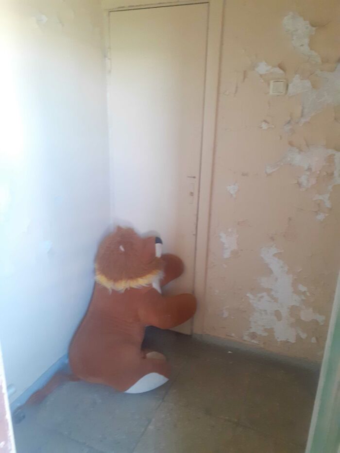 Hey Pandas, What Is The Most Unnerving Picture You Have Seen Or Taken? Hey Pandas, What Is The Most Unnerving Picture You Have Seen Or Taken?