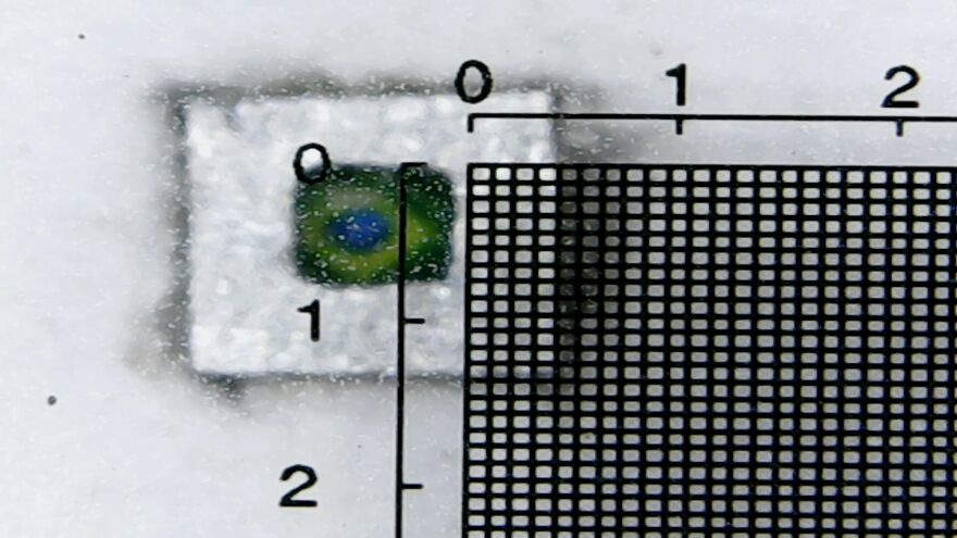 I’m A Brazilian That Creates The World’s Smallest Canvases I’m A Brazilian That Creates The World’s Smallest Canvases