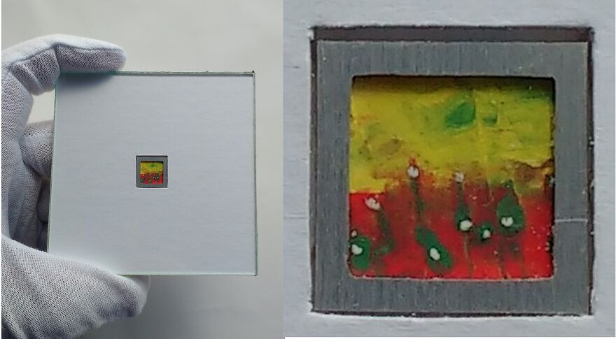 I’m A Brazilian That Creates The World’s Smallest Canvases I’m A Brazilian That Creates The World’s Smallest Canvases