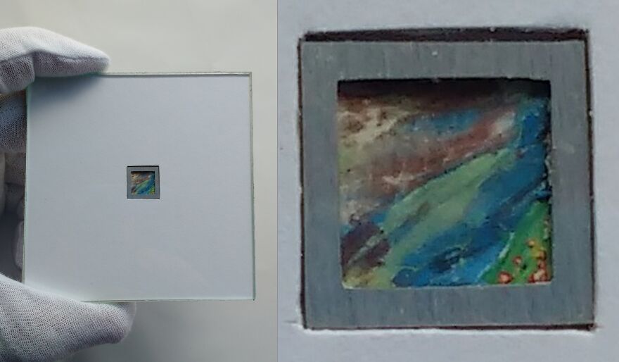 I’m A Brazilian That Creates The World’s Smallest Canvases I’m A Brazilian That Creates The World’s Smallest Canvases