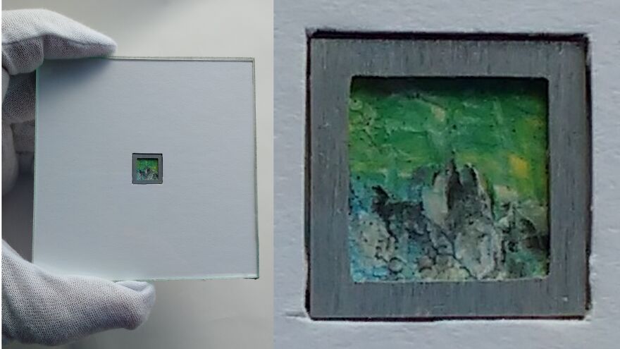I’m A Brazilian That Creates The World’s Smallest Canvases I’m A Brazilian That Creates The World’s Smallest Canvases