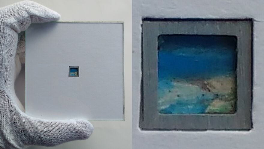 I’m A Brazilian That Creates The World’s Smallest Canvases I’m A Brazilian That Creates The World’s Smallest Canvases