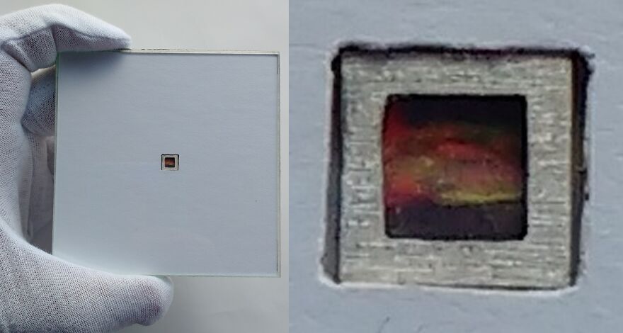 I’m A Brazilian That Creates The World’s Smallest Canvases I’m A Brazilian That Creates The World’s Smallest Canvases