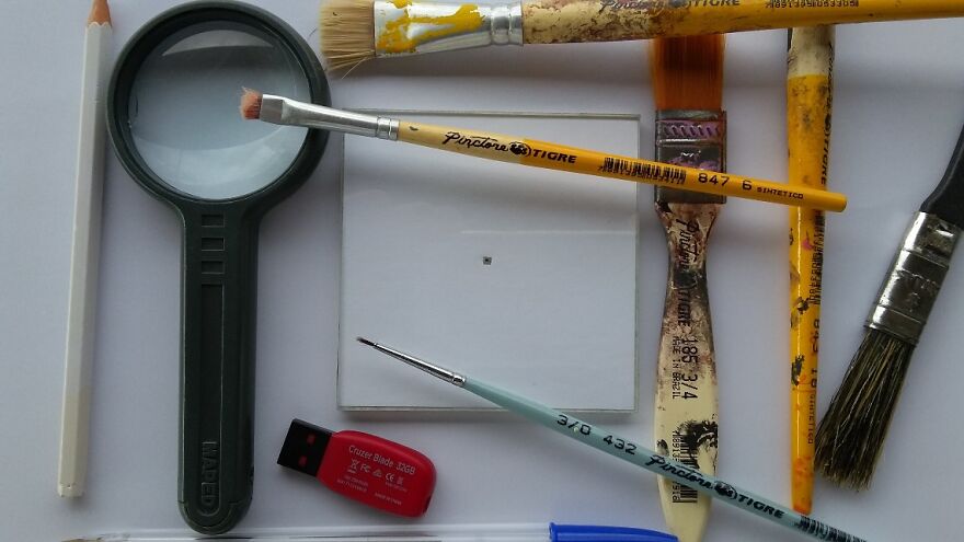 I’m A Brazilian That Creates The World’s Smallest Canvases I’m A Brazilian That Creates The World’s Smallest Canvases