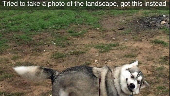 Hey Pandas, Show Us A Demonic Picture Of Your Pet (Closed) Hey Pandas, Show Us A Demonic Picture Of Your Pet (Closed)