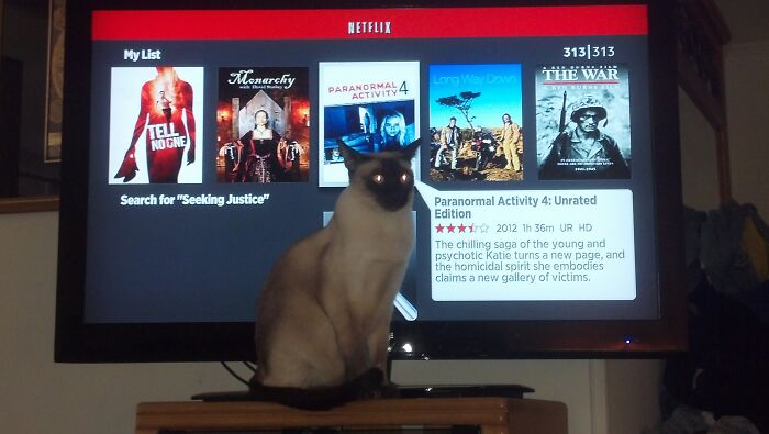 Hey Pandas, Show Us A Demonic Picture Of Your Pet (Closed) Hey Pandas, Show Us A Demonic Picture Of Your Pet (Closed)