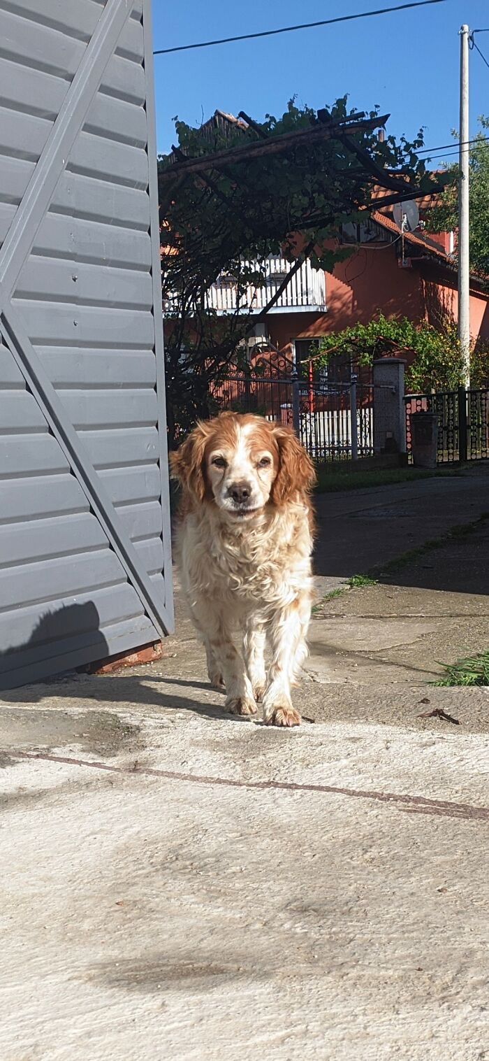 Hey Pandas, Show Us A Demonic Picture Of Your Pet (Closed) Hey Pandas, Show Us A Demonic Picture Of Your Pet (Closed)