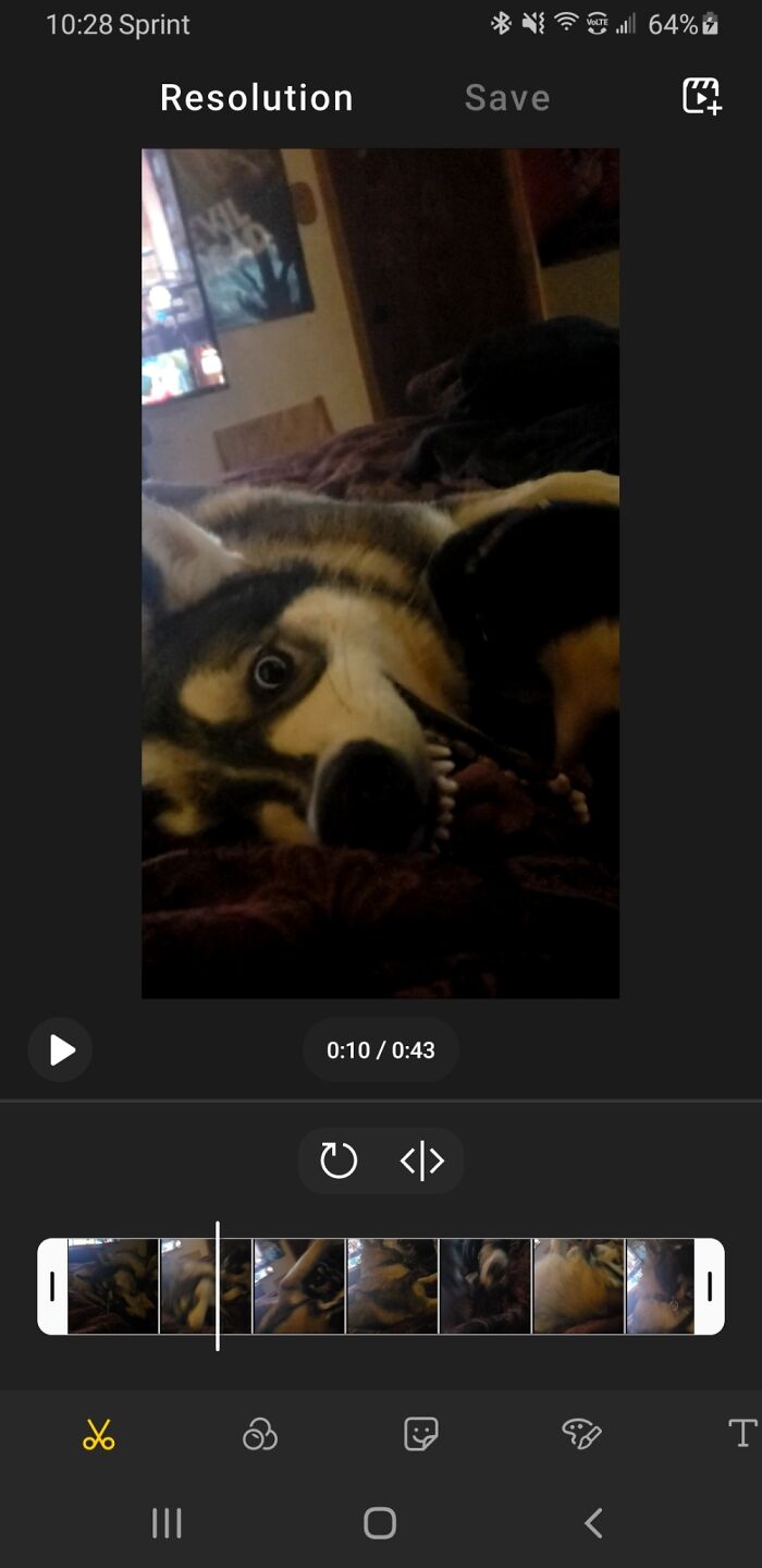 Hey Pandas, Show Us A Demonic Picture Of Your Pet (Closed) Hey Pandas, Show Us A Demonic Picture Of Your Pet (Closed)