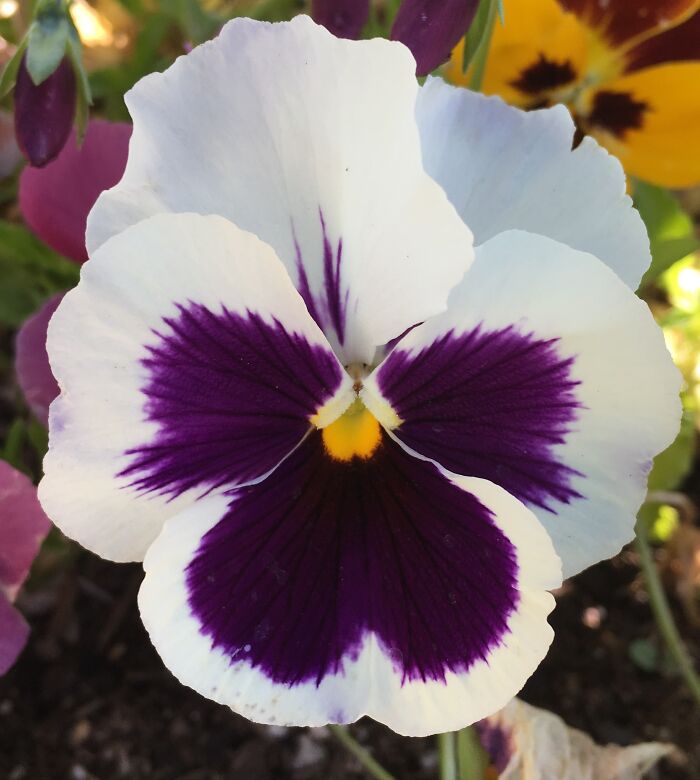 Hey Pandas, Post Your Favorite Picture In Your Camera Roll (Closed) Hey Pandas, Post Your Favorite Picture In Your Camera Roll (Closed)