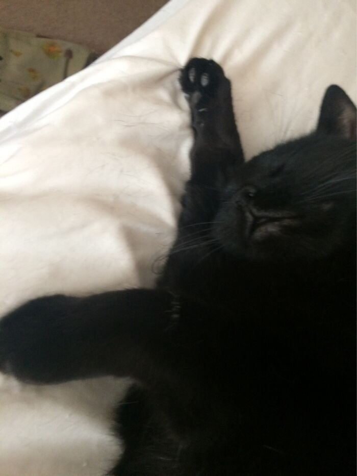 Hey Pandas, Post A Random Photo From Your Camera Roll (Closed) Hey Pandas, Post A Random Photo From Your Camera Roll (Closed)