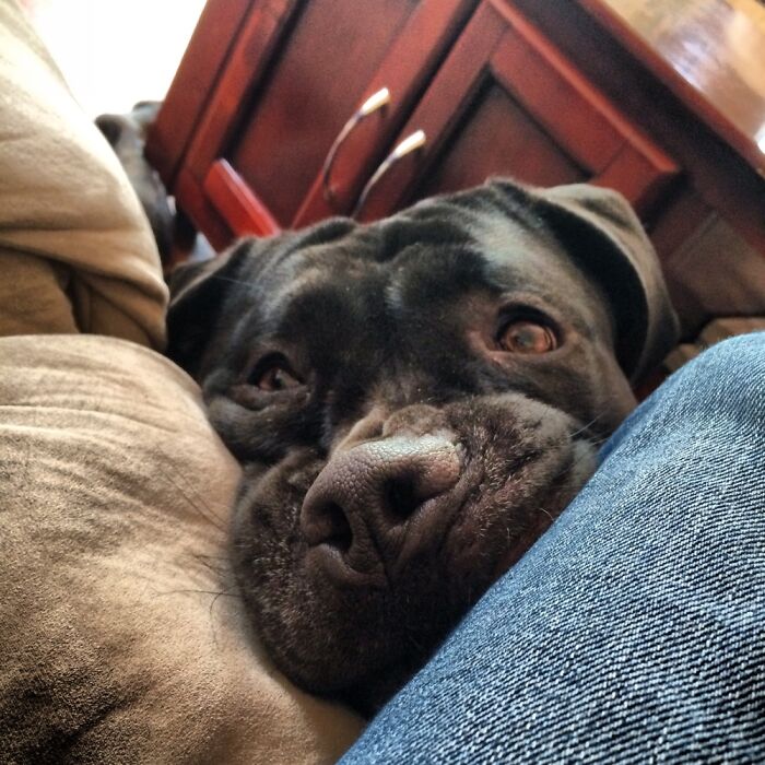 Hey Pandas, Post Your Prized Possession (Closed) Hey Pandas, Post Your Prized Possession (Closed)