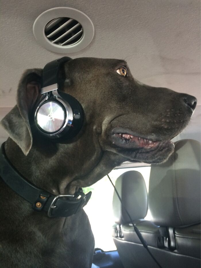 Hey Pandas, Post Your Prized Possession (Closed) Hey Pandas, Post Your Prized Possession (Closed)