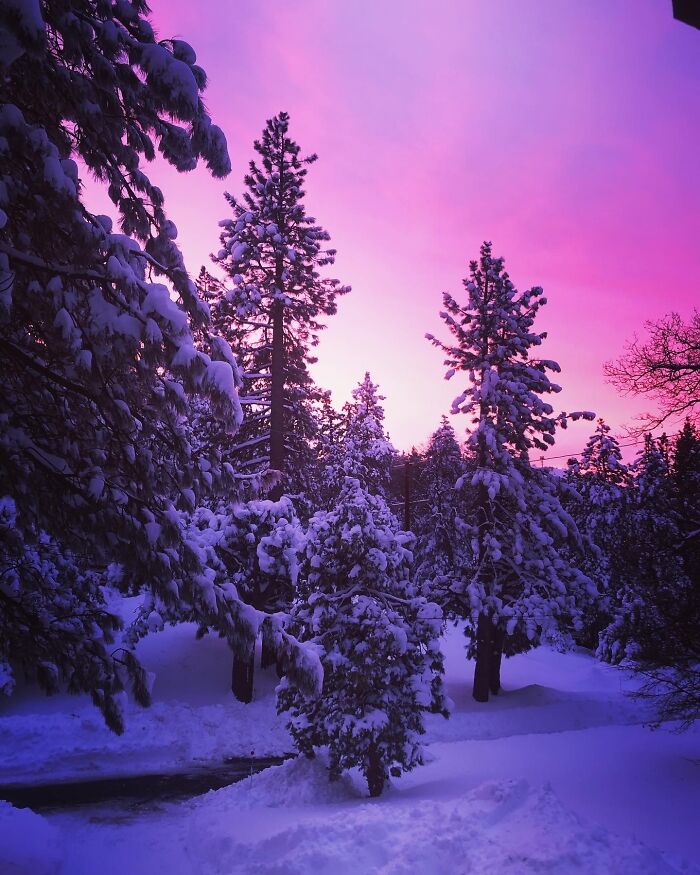 Hey Pandas, Post A Magical Photo That You Took (Closed)