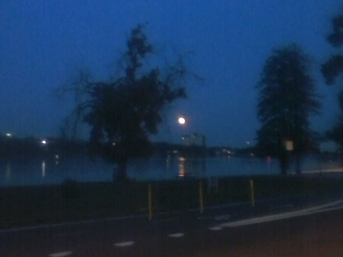 Hey Pandas, Post A Magical Photo That You Took (Closed)