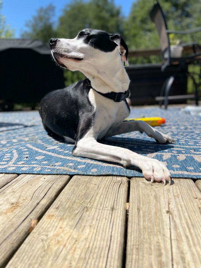 Hey Pandas, Post A Magical Photo That You Took (Closed)