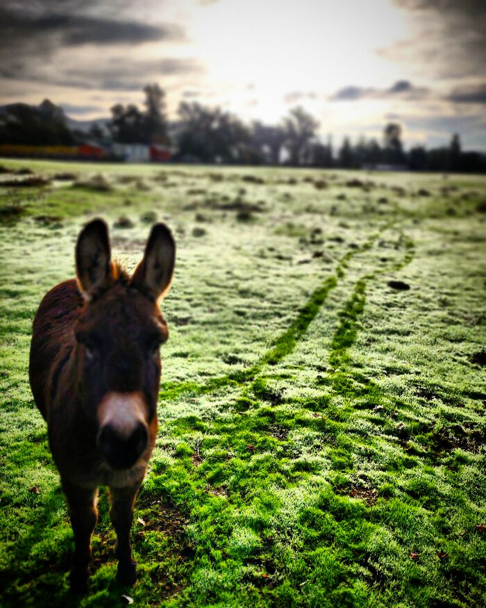 Hey Pandas, Post A Magical Photo That You Took (Closed)