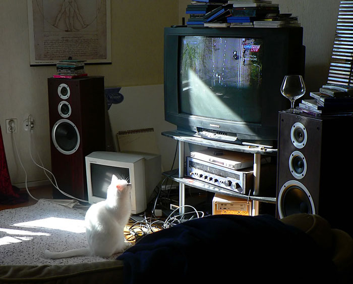 21 Weird Things That Were Widely Acceptable 20 Years Ago, As Shared By People Online 21 Weird Things That Were Widely Acceptable 20 Years Ago, As Shared By People Online