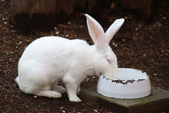 21 Weird Things That Were Widely Acceptable 20 Years Ago, As Shared By People Online 21 Weird Things That Were Widely Acceptable 20 Years Ago, As Shared By People Online