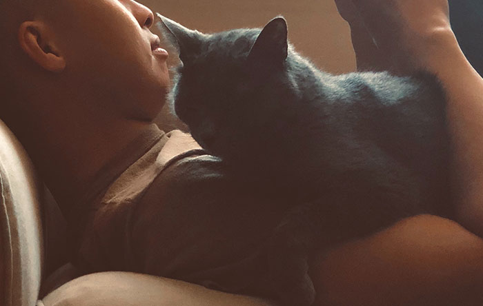 40 Funny And Bizarre Things Pets Do According To Their Owners Who Claim That Nobody Believes Them 40 Funny And Bizarre Things Pets Do According To Their Owners Who Claim That Nobody Believes Them