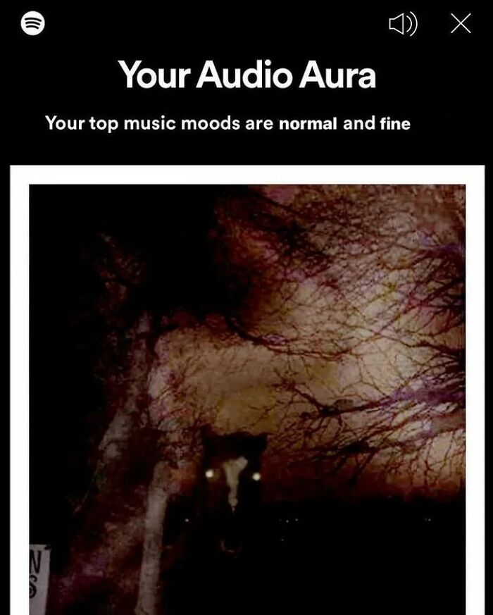 People Are Cracking Up At These 30 Spotify Wrapped 2021 Memes And Reactions People Are Cracking Up At These 30 Spotify Wrapped 2021 Memes And Reactions