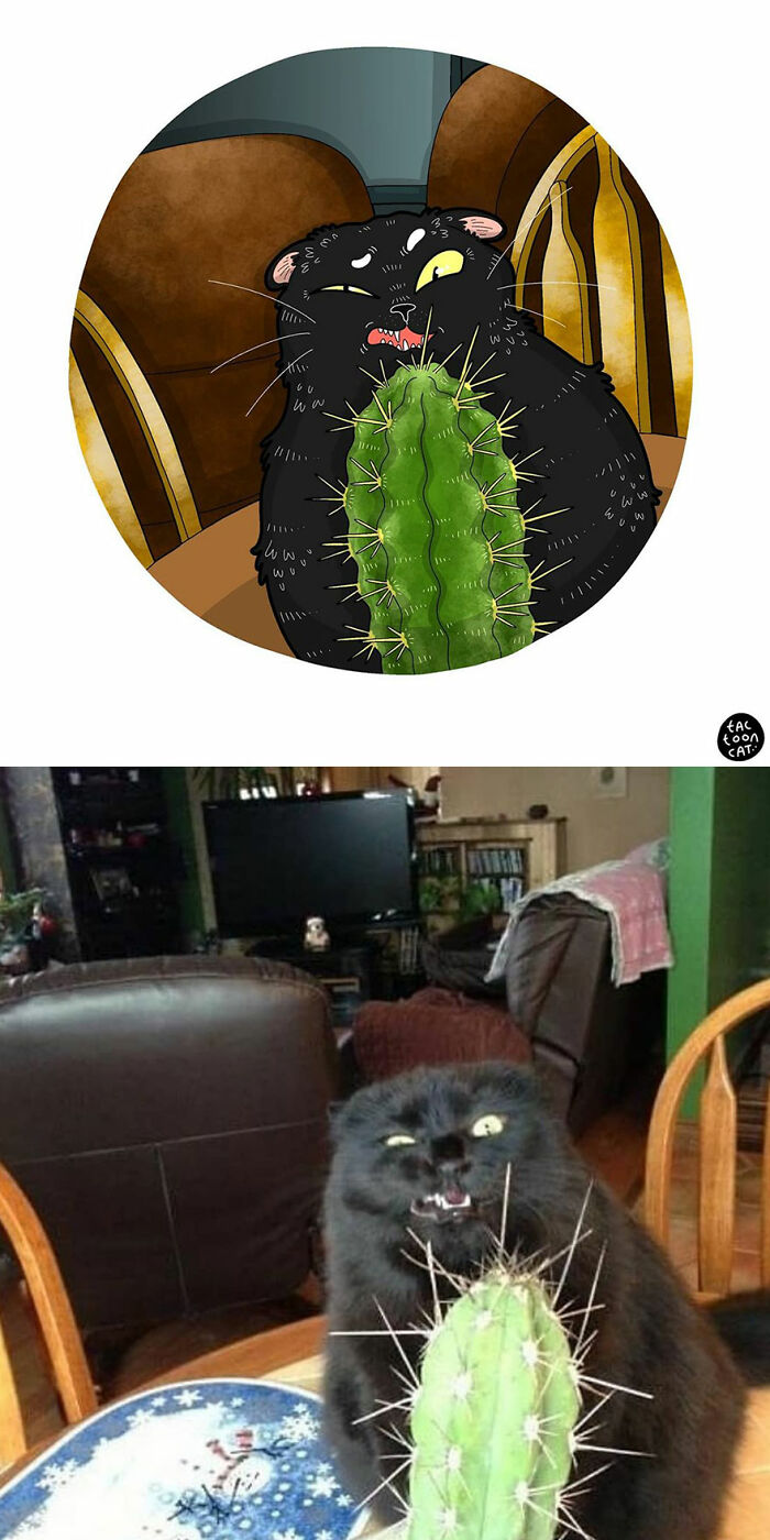 30 Of The Funniest Internet-Famous Cat Pics Get Illustrated By Tactooncat (New Pics) 30 Of The Funniest Internet-Famous Cat Pics Get Illustrated By Tactooncat (New Pics)